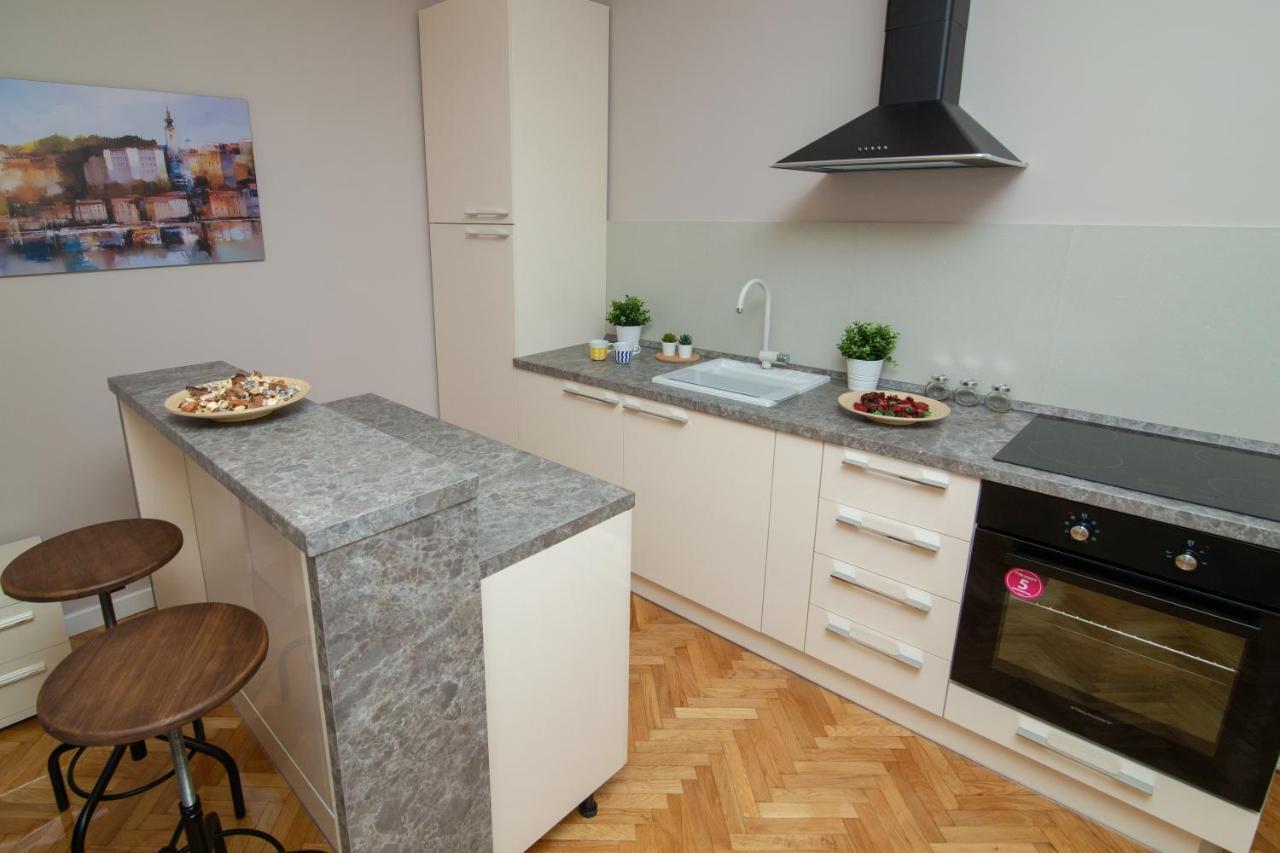 Apartament Vracar Vuk 2 Belgrad Zewnętrze zdjęcie